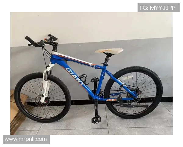 捷安特770的市场价格是多少以及购买建议分析 捷安特770的市场价格是多少以及购买建议分析